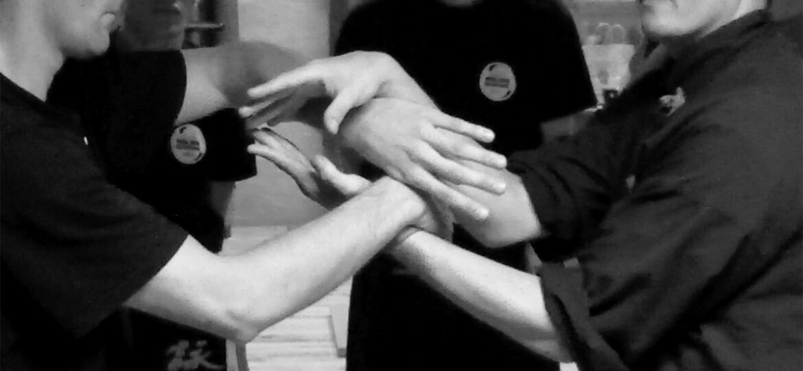 Chi-sao-double-bras-position-de-base-des-bras-stage-kung-fu-wing-chun-toulouse-association-yimwingchun