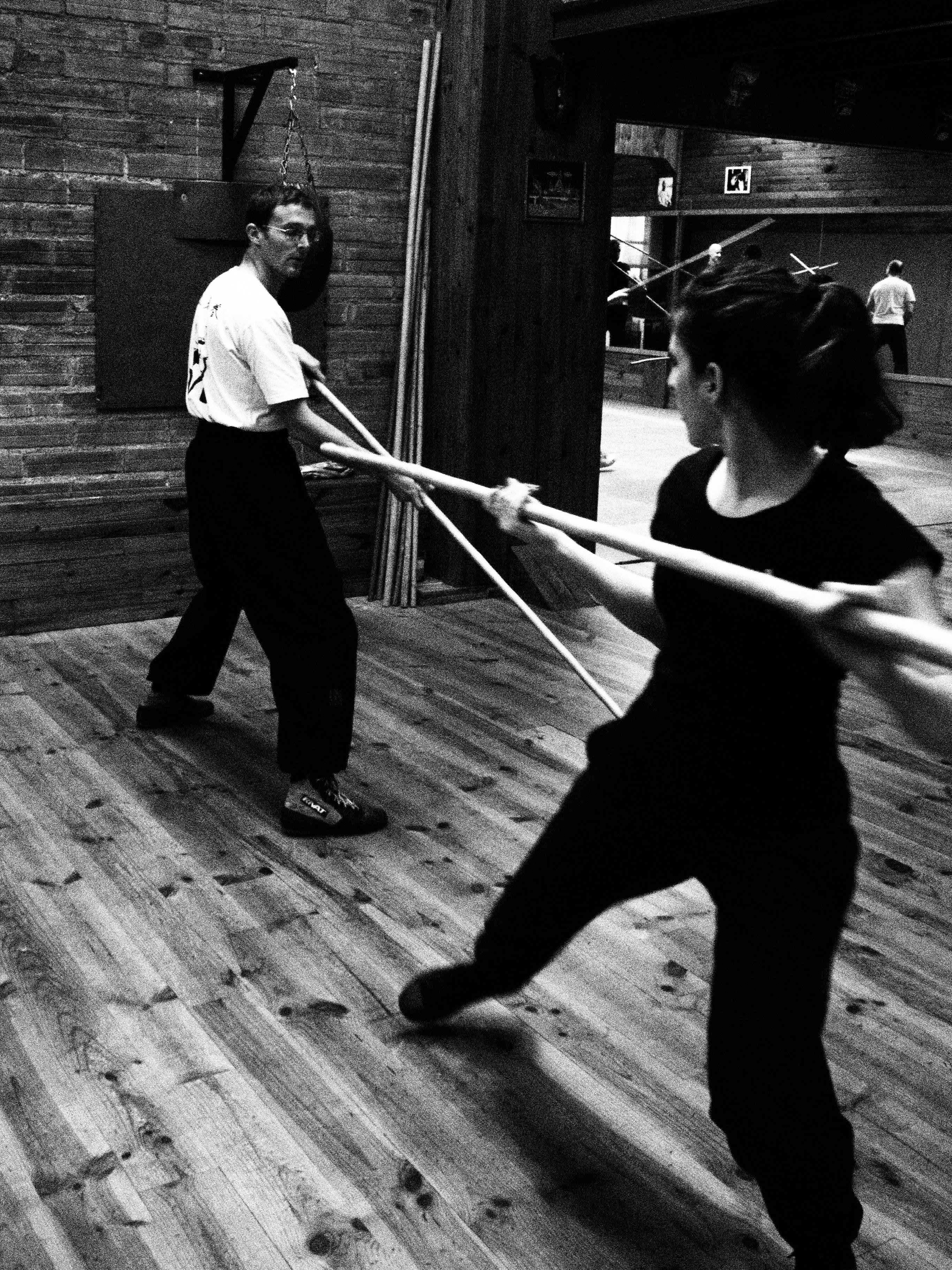 WING CHUN DRAGON POLE stage-wing-chun-baton-long-dragon-pole-kung-fu-toulouse-association-yimwingchun-stephane-serror