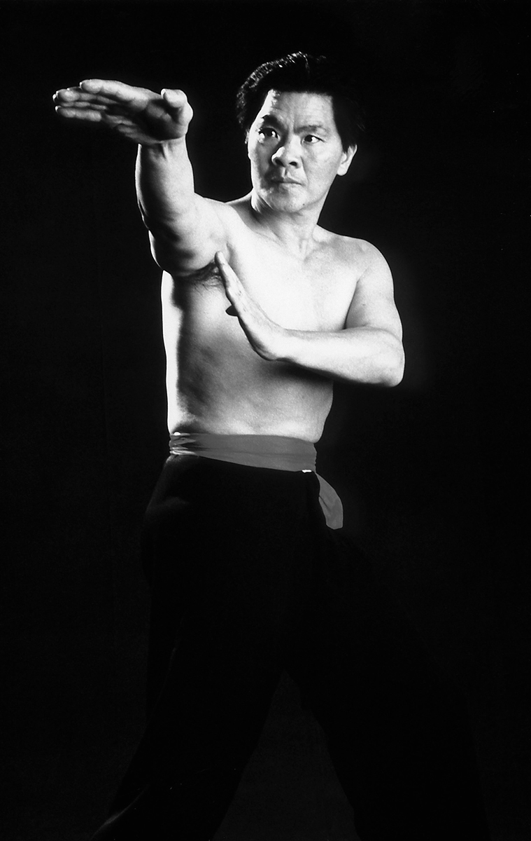 le-grand-maitre-william-cheung-wing-chun-kung-fu-legende-histoire-disciple-yip-man-didier-beddar-stephane-serror-genealogie-chine-toulouse-shaolin-association-yimwingchun-noir-blanc