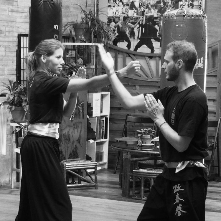 cours-kung-fu-adultes-debutants-accueil-sifu-stephane-serror-ecole-kung-fu-yim-wing-chun-toulouse