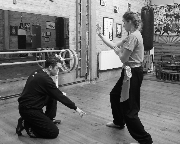 cours-kung-fu-adultes-prive-preparation-sifu-stephane-serror-ecole-kung-fu-yim-wing-chun-toulouse