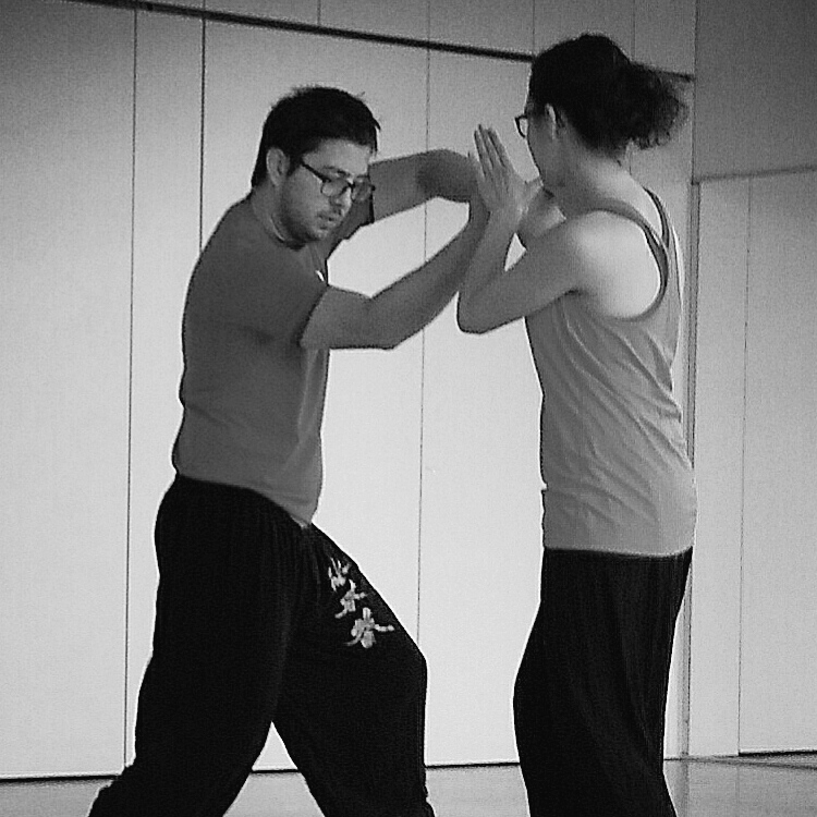 cours-kung-fu-ce-thales-accueil-sifu-stephane-serror-ecole-kung-fu-yim-wing-chun-toulouse
