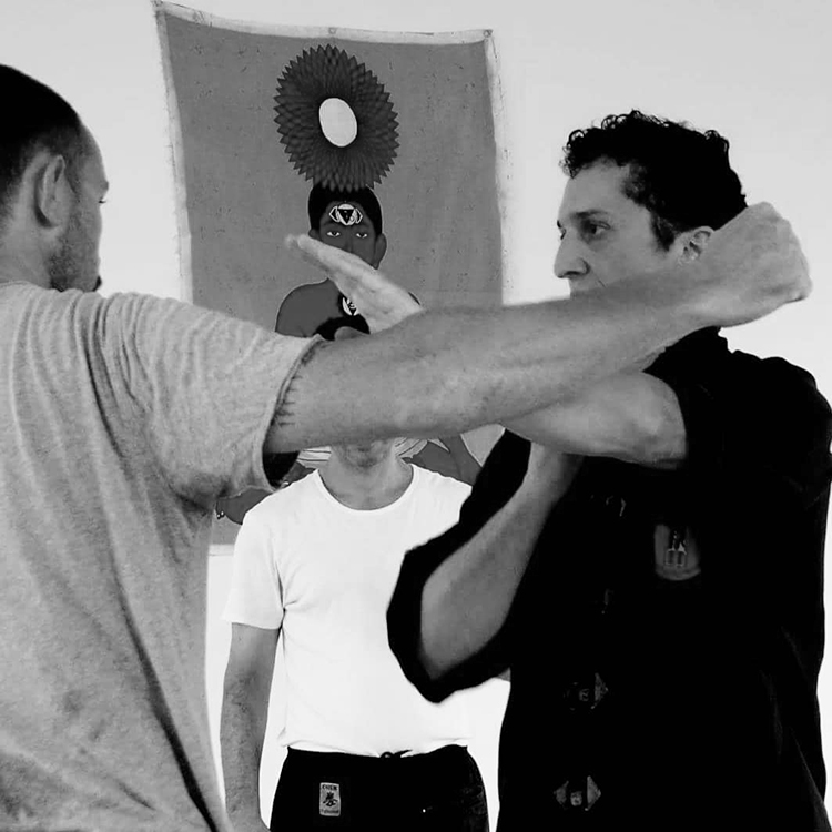 cours-kung-fu-cours-particulier-accueil-sifu-stephane-serror-ecole-kung-fu-yim-wing-chun-toulouse