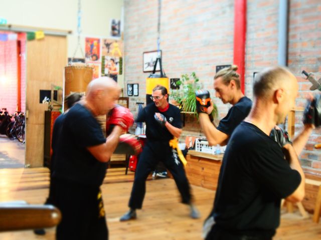 cours-de-wing-chun-avancé-toulouse