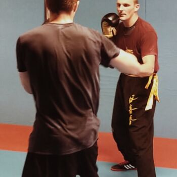 boxe-toulouse-yimwingchun-kungfu-wingchun-stephaneserror-associationyimwingchun-nobleart-2 boxe-toulouse-yimwingchun-kungfu-wingchun-stephaneserror-associationyimwingchun-nobleart-2