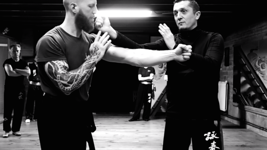 wingchun-toulouse-stephane-serror-coup-de-poing-vertical-yimwingchun