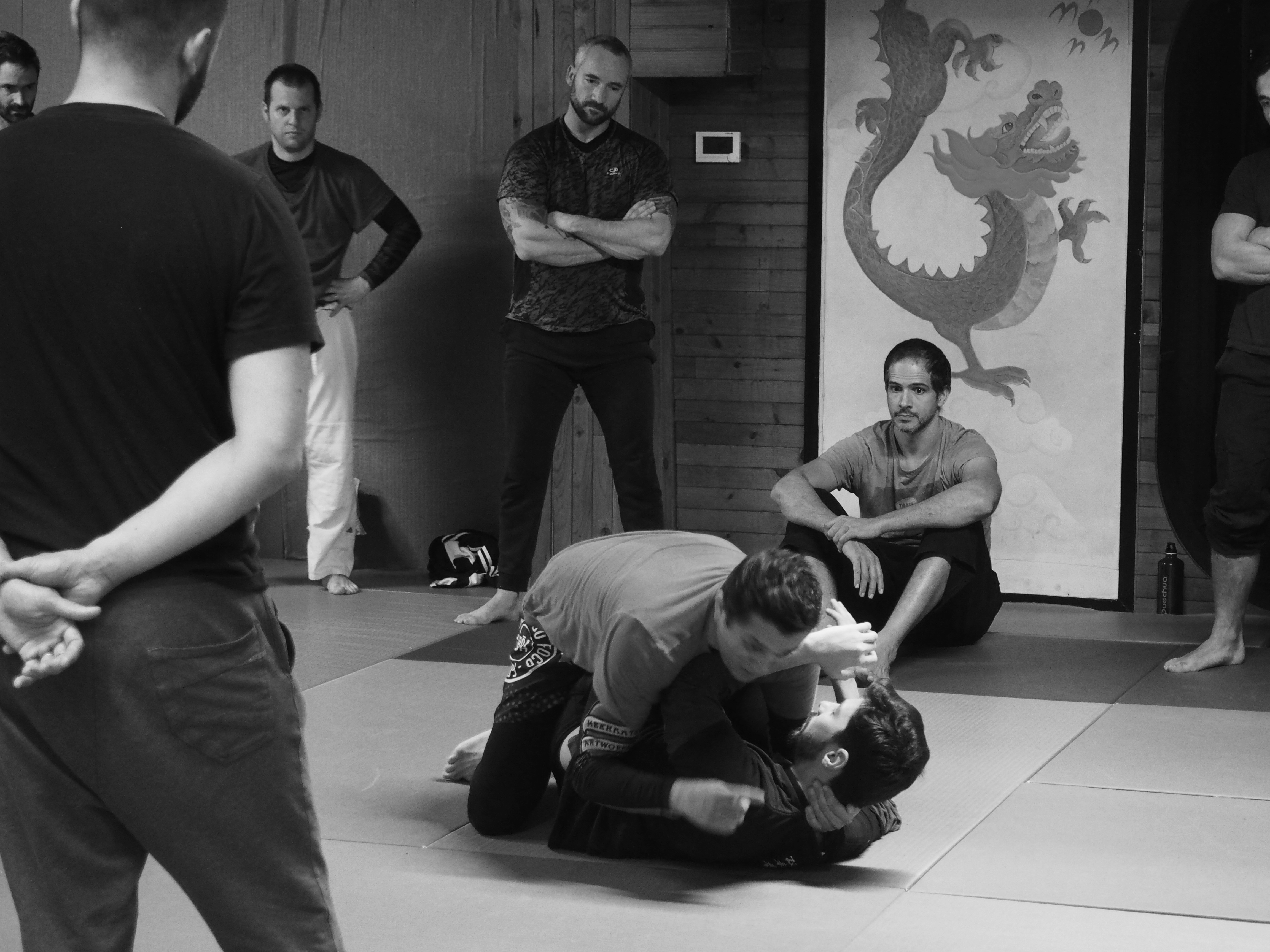 jjb-grappling-toulouse-jiu-jitsu-bresilien-debutant-the-temple