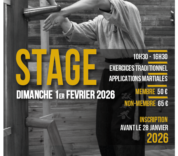 stage de wing chun