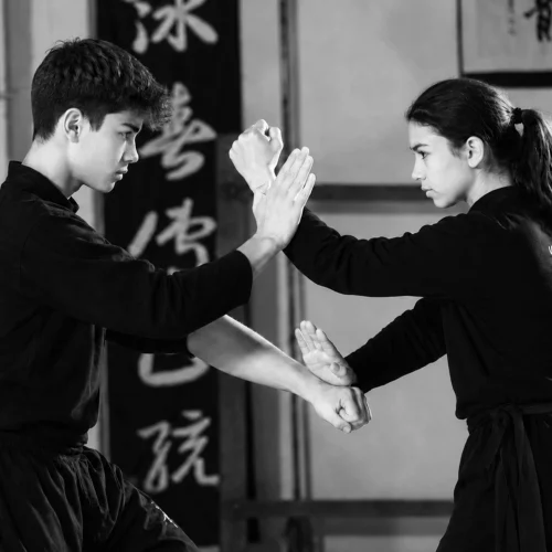 wing-chun-kung-fu-ado-toulouse-yimwingchun-sifu-stephane-serror